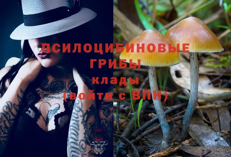 Псилоцибиновые грибы Psilocybine cubensis  Миньяр 